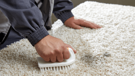 Professional Rug Cleaning Ceres