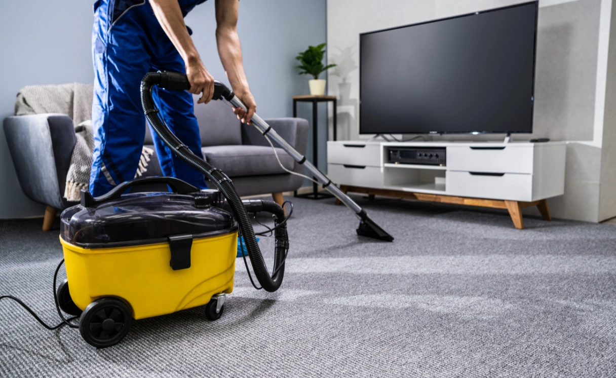 Extract Rug Cleaning Ceres Contact Office